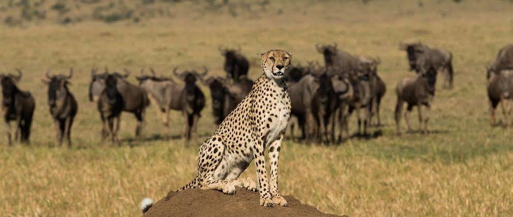 Mahali Mzuri Otel Maasai Mara Dış mekan fotoğraf