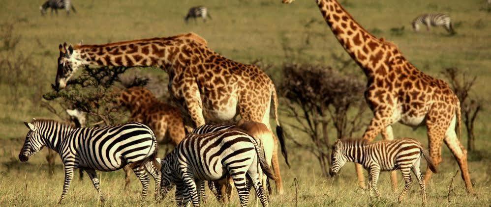 Mahali Mzuri Otel Maasai Mara Dış mekan fotoğraf